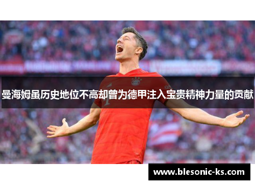 曼海姆虽历史地位不高却曾为德甲注入宝贵精神力量的贡献