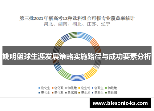 姚明篮球生涯发展策略实施路径与成功要素分析