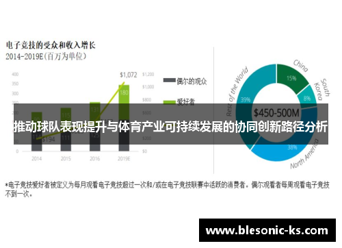 推动球队表现提升与体育产业可持续发展的协同创新路径分析