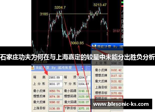 石家庄功夫为何在与上海嘉定的较量中未能分出胜负分析