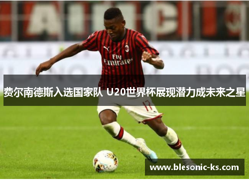 费尔南德斯入选国家队 U20世界杯展现潜力成未来之星