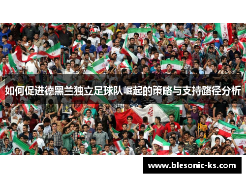 如何促进德黑兰独立足球队崛起的策略与支持路径分析